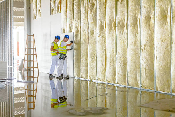 Best Insulation Maintenance and Repair in Sulphur Springs, TX